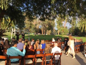 Outdoor wedding ceremony in a sunlit garden with guests seated on wooden chairs. A decorated arch in front and trees in the background.