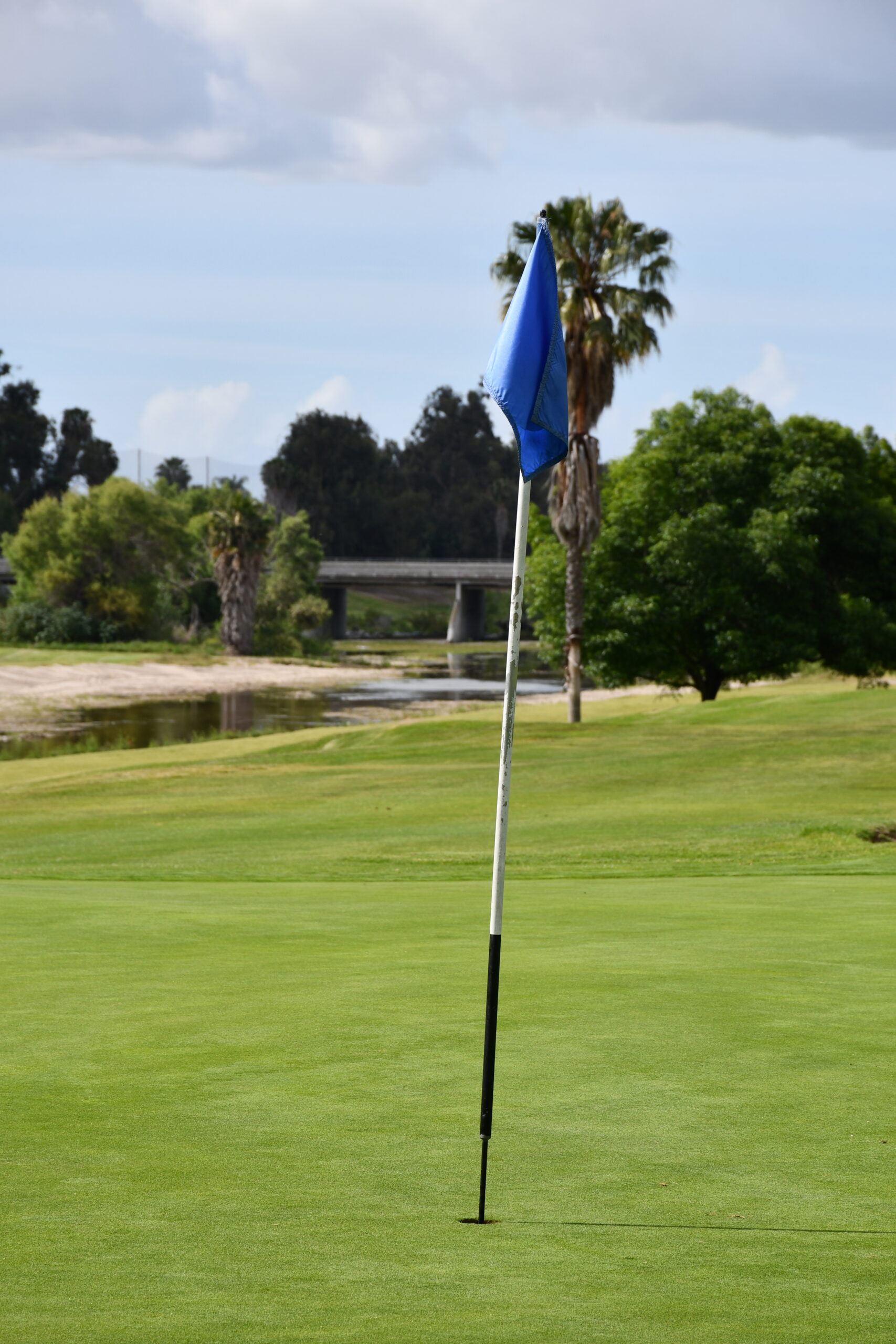A golf course with a blue flag on the green, surrounded by lush trees and a small pond. A bridge and palm trees are visible in the background.